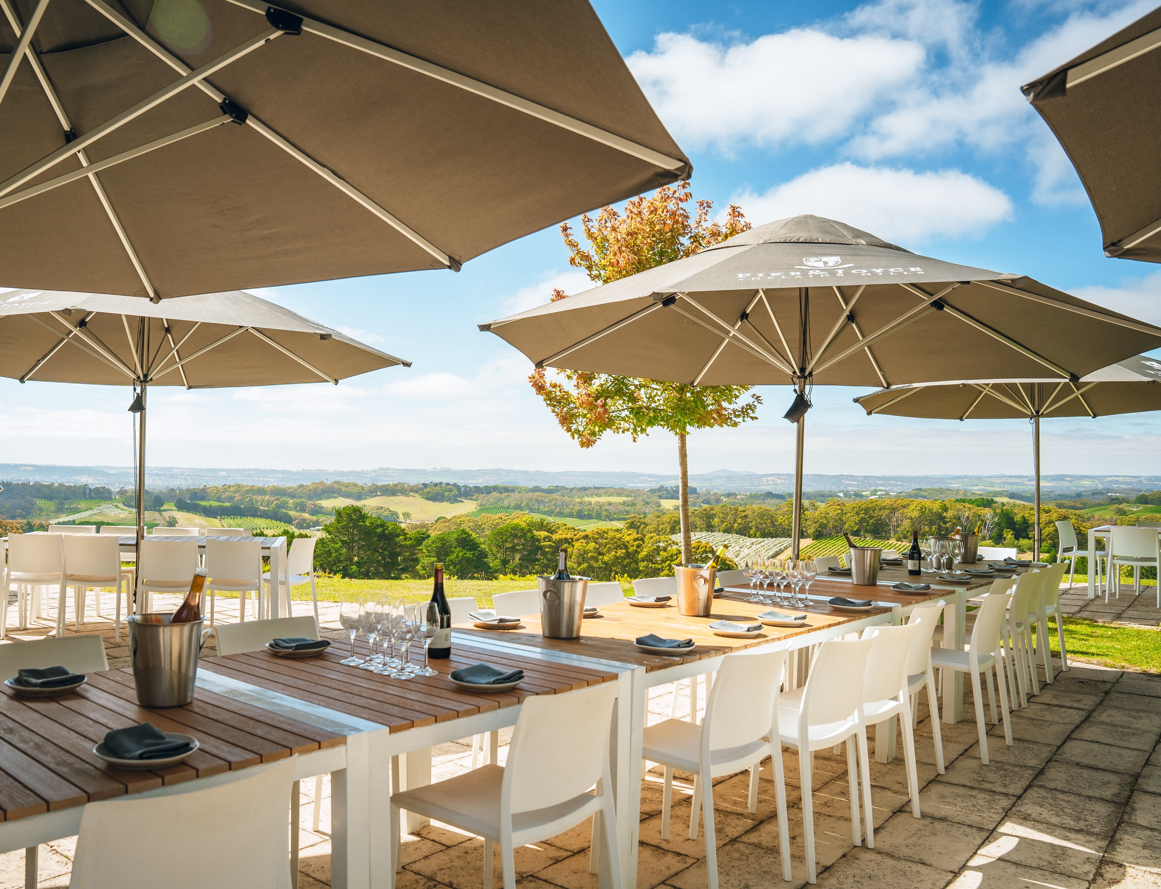 Tasting Room Pike and Joyce Wines